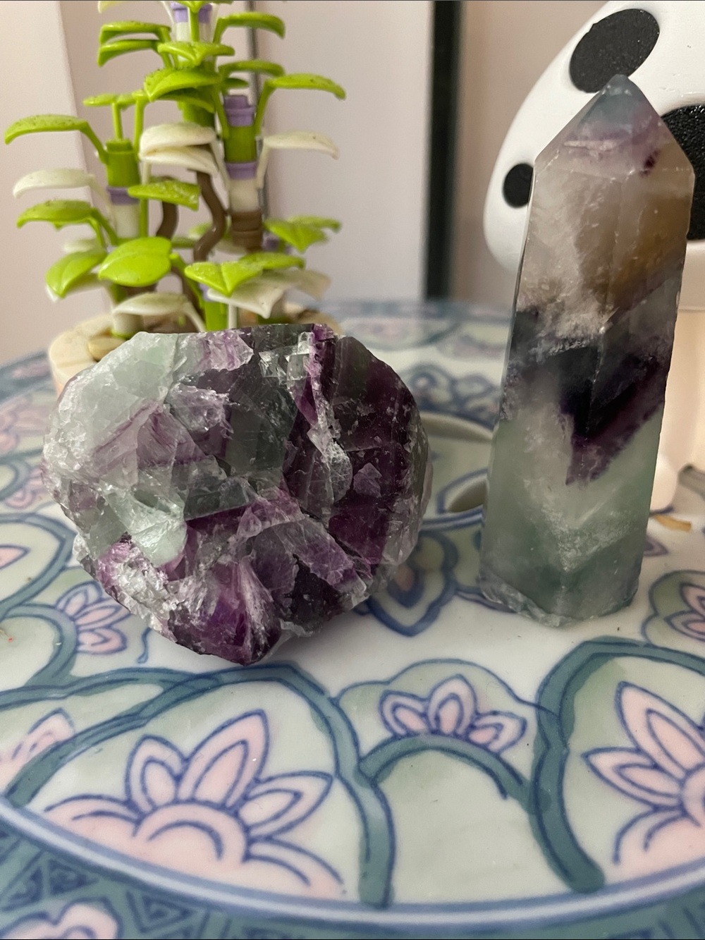 Rainbow Fluorite Bundle